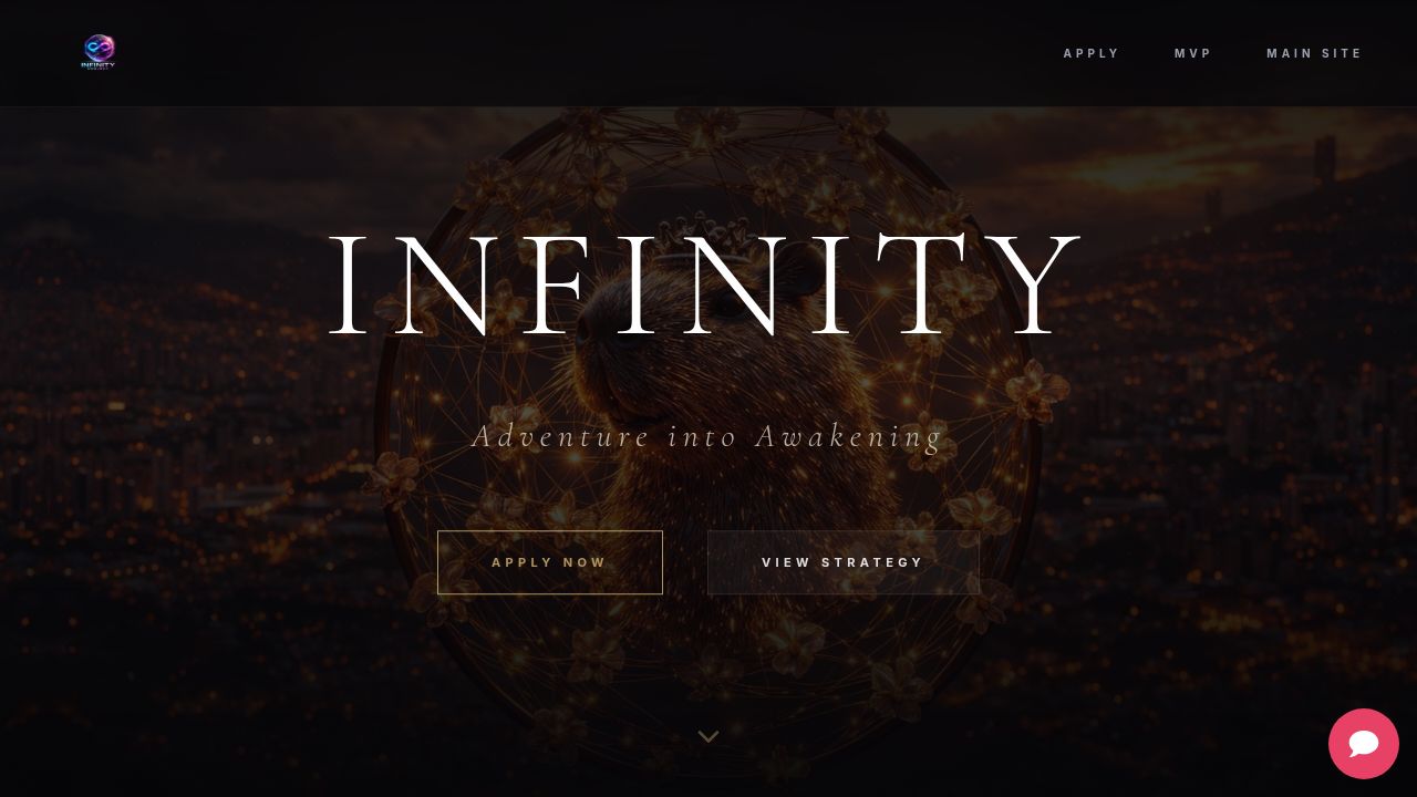 The Infinity Project